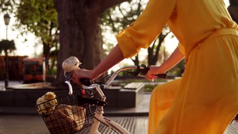 Back-view-of-and-unrecognizable-woman-riding-a-citibike-with-a-basket-and-flowers-in-the-city-park-during-the-dawn-enjoying-her