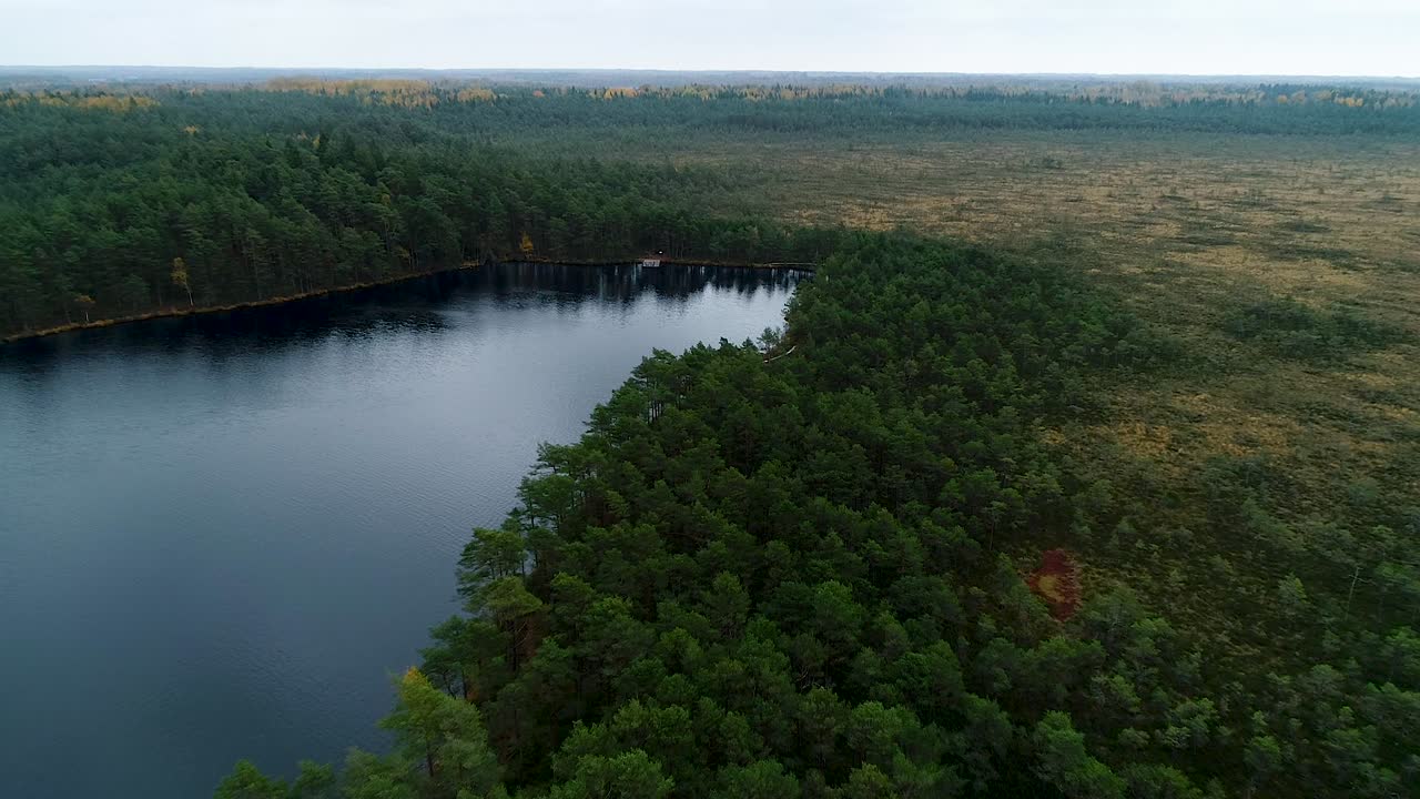 가을철 공중 영상의 다채로운 계절 숲과 늪지 호수