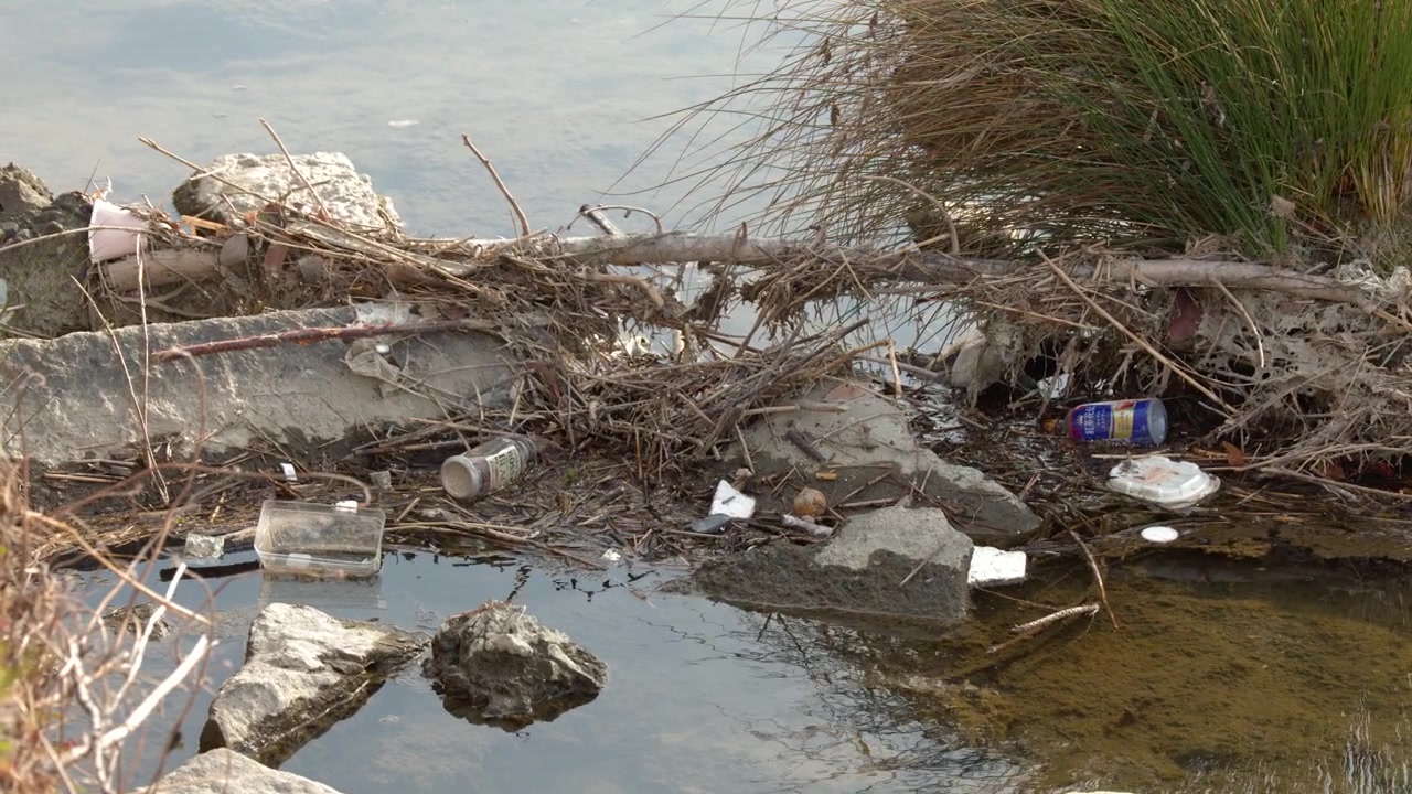 Static medium shot of plastic waste and garbage trapped in riverbank vegetation and rocks.