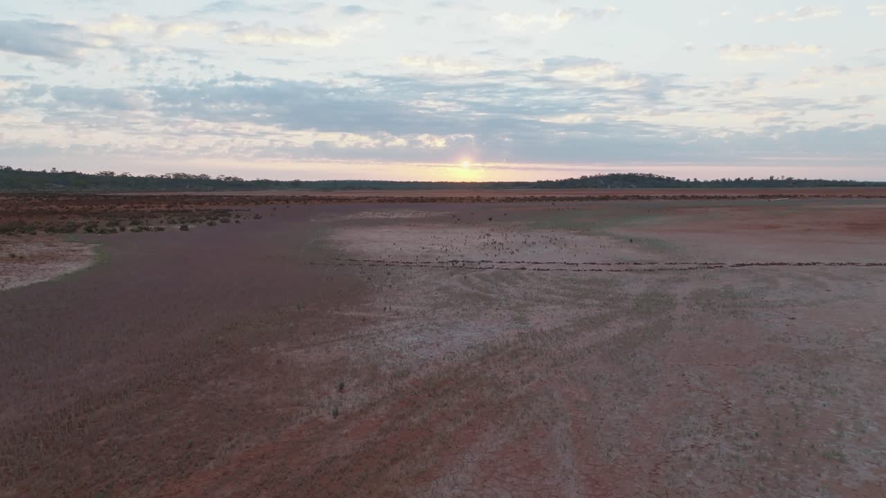 Clip con drone che mostra due serie di impronte attraverso l'outback australiano remoto e un modello maschile