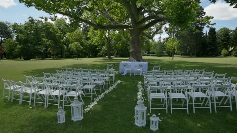 lugar de la boda en el medio de un gran parque bajo un árbol enorme