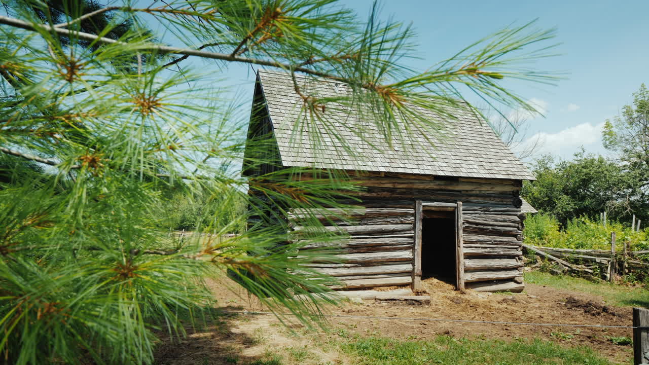 시골의 닭과 다른 가금류 농장 생활을 위한 오래된 헛간