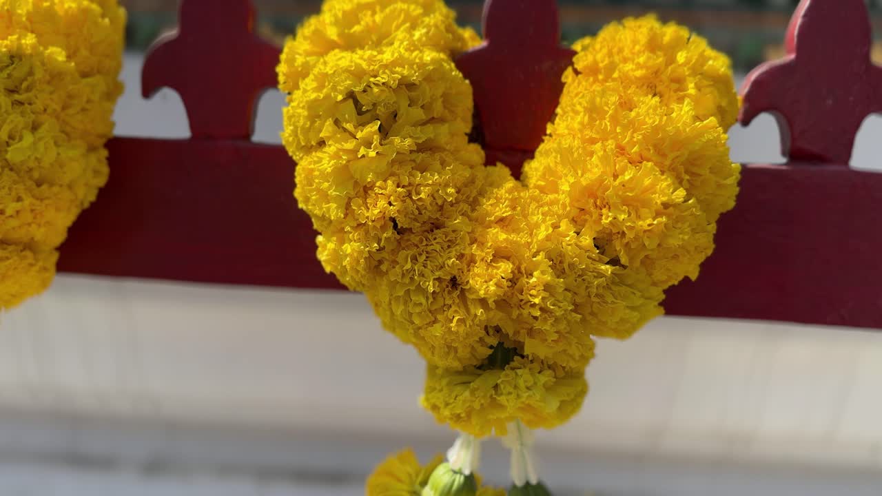 Mazzo di fiori gialli per una celebrazione tradizionale della religione buddista al tempio.
