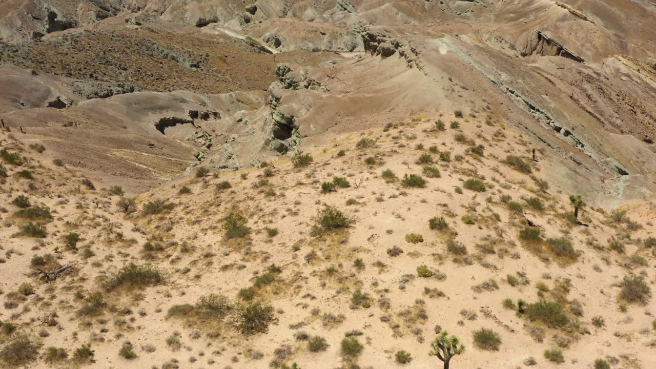 무지개 분지에서 산의 측면을 덮고 있는 건조한 사막 스크럽 덤불을 내려다보고 있습니다.
