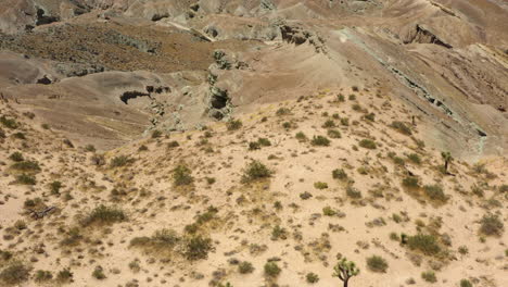 mirando hacia abajo a los arbustos secos de matorral del desierto que cubren la ladera de una montaña en la cuenca del arco iris