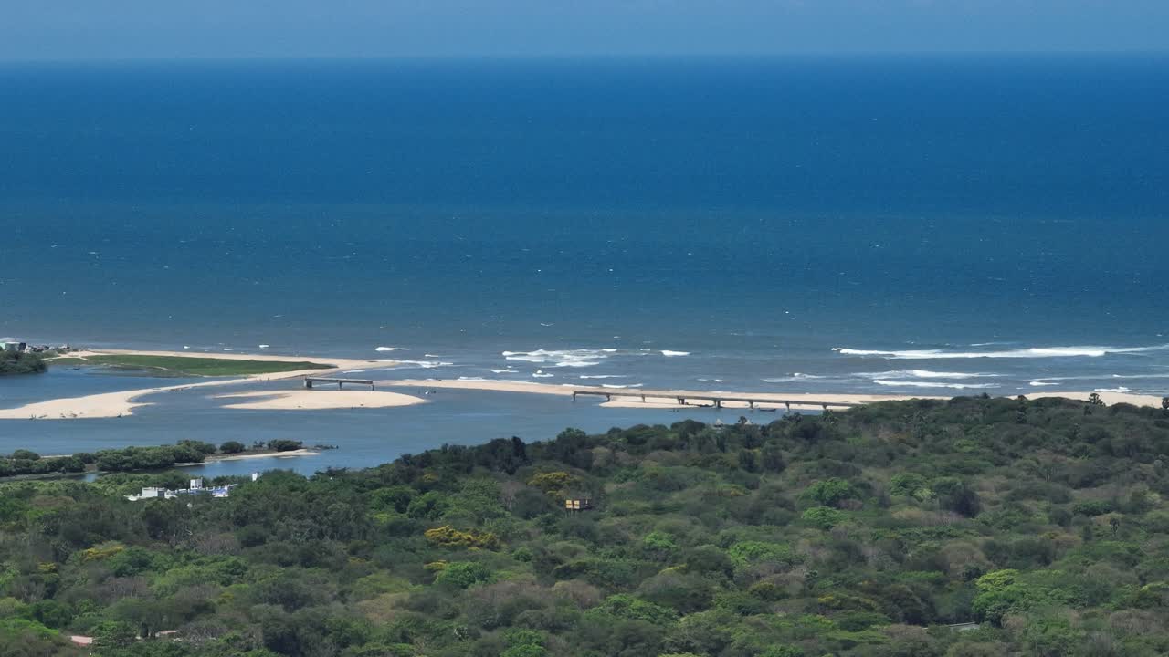 Aerial shot capturing tides approaching shore of sea during daytime with green vegetation in foreground.