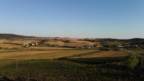 vista aérea del paisaje de las filas de viñedos, en las colinas de la toscana, en el campo italiano, en un día soleado