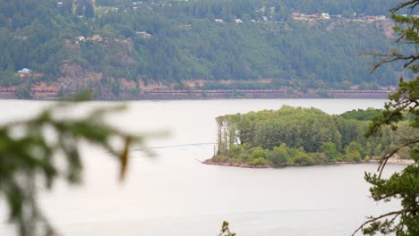 Grüne-Sträucher-Auf-Der-Kleinen-Insel-In-Der-Mitte-Des-Sees