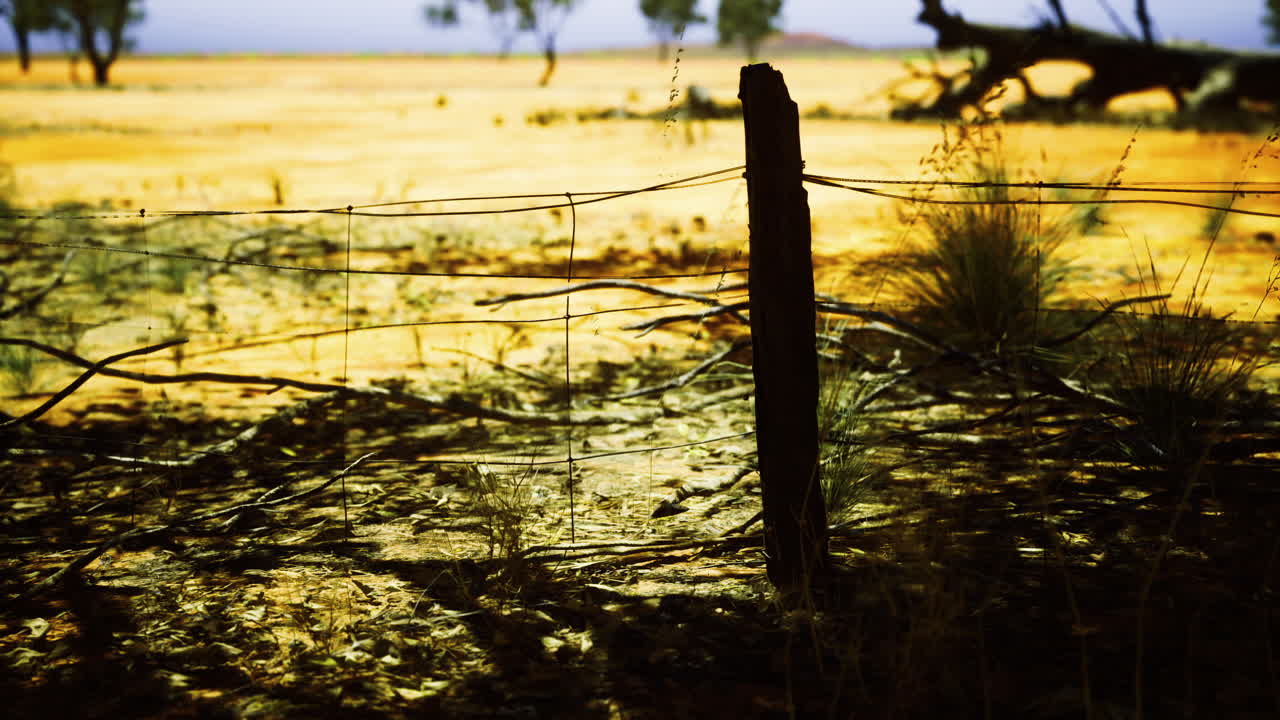 Fencing against a vast golden landscape at sunset reveals natures beauty