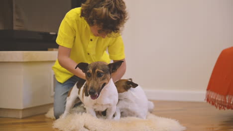 Blonder-Junge-Mit-Lockigem-Haar,-Der-Mit-Ihren-Hunden-Auf-Dem-Teppich-Spielt