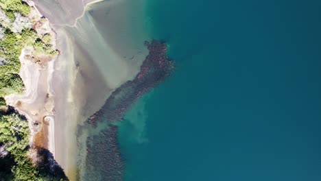 Deep-blue-lake-water-and-sandy-coastline,-aerial-top-down-view