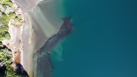 Agua-Azul-Profunda-Del-Lago-Y-Costa-Arenosa,-Vista-Aérea-De-Arriba-Hacia-Abajo