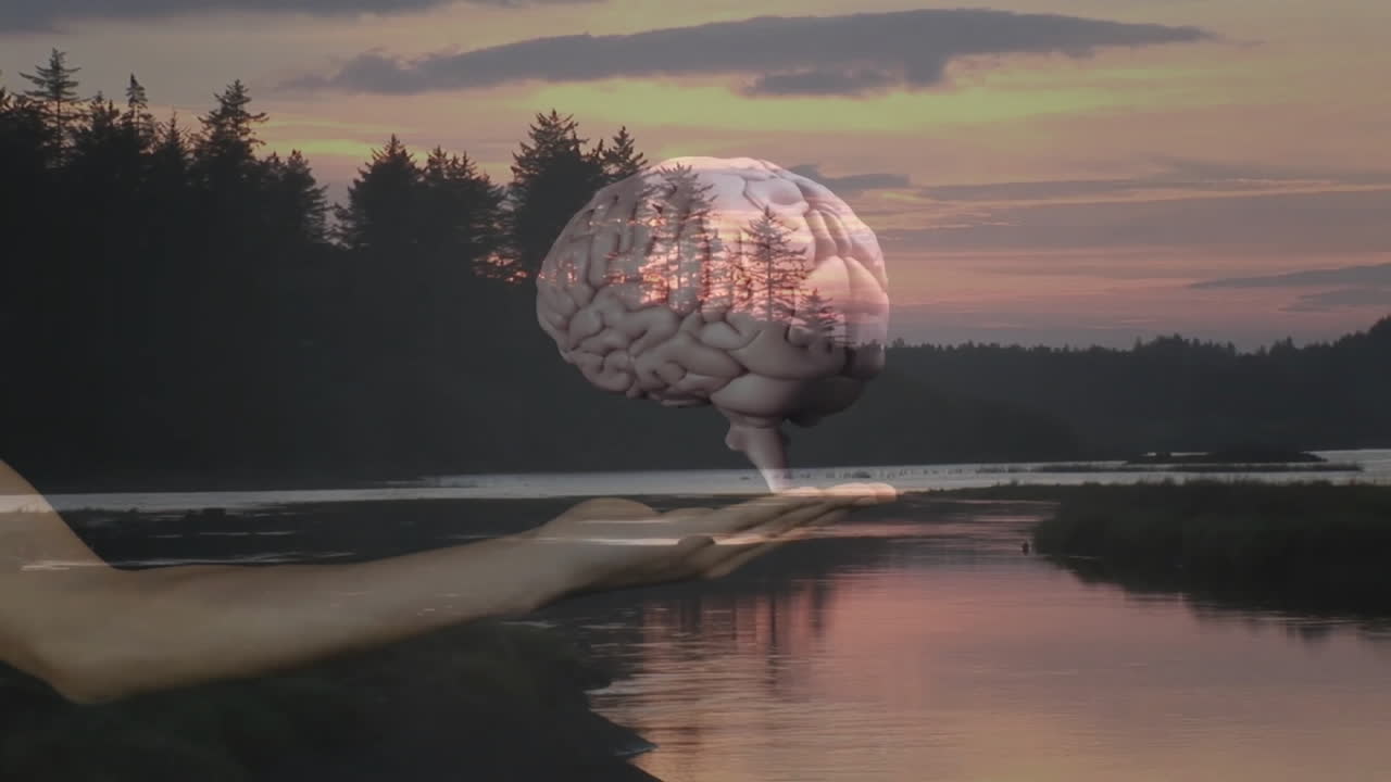 Holding brain hologram, hand over serene lake at sunset with trees animation