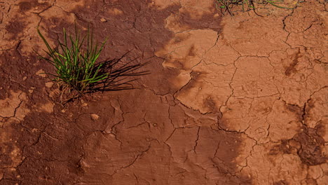 Mud-dries-and-cracks-as-the-water-evaporates-in-the-sunshine---time-lapse