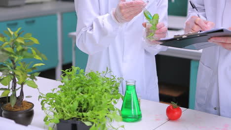 Estudiantes-Investigando-Plantas-Y-Vegetales