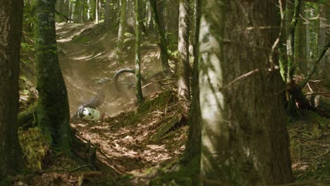 mountain biker crashes in a gully and kicks up dust under light rays