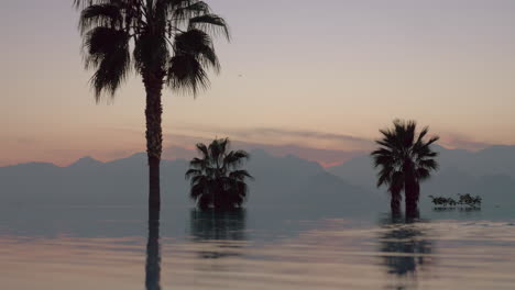 Un-Límite-Reflectante-De-Piscina-Abierta-Frente-A-Palmeras-Y-Un-Paisaje-Nocturno-De-Montaña