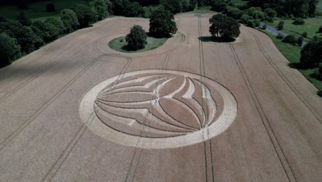 aerial view orbiting warminster crops circle 2023 symmetrical paranormal pattern on farmland in england