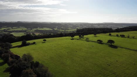 Idílico-Verde-Inglés-Devon-Campo-Tierras-De-Cultivo