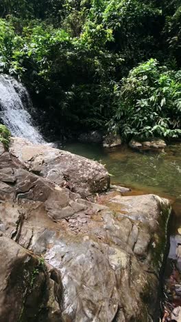 beautiful waterfall in a lush forest