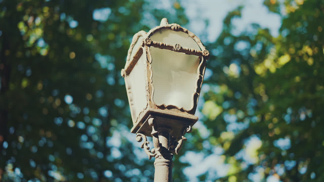 Close up of an ornate vintage street lamp against green trees on a sunny day