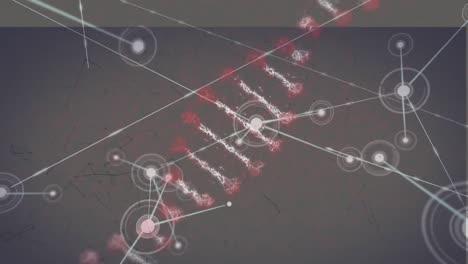 animación de la cadena de adn y la red de conexiones
