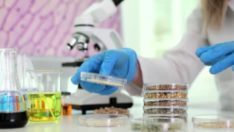 scientist working in a laboratory examining seed samples