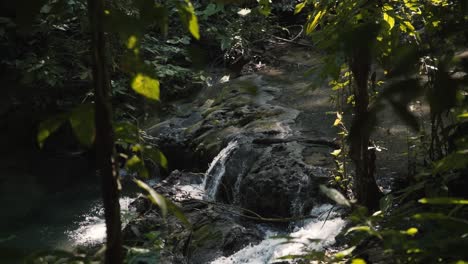 Stream-Flowing-Through-Moss-Covered-Rocks-In-Rainforest