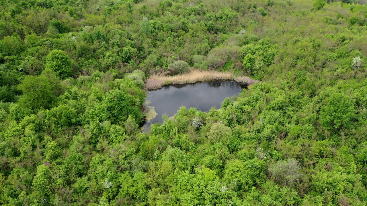 헝가리 숲 한가운데 있는 작은 호수