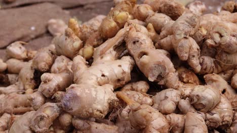 fresh organic ginger from farm close up from different angle