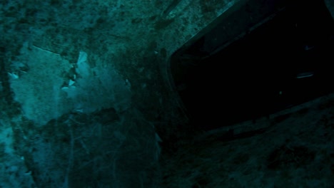 an underwater photographer enters a plane wreck to film for a documentary