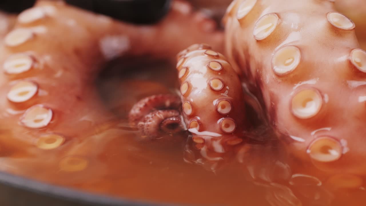 Octopus cooking, chef Boiling fresh octopus on restaurant kitchen, healthy food, seafood cafe in spain, traditional asian japanese spanish and mediterranean dish.