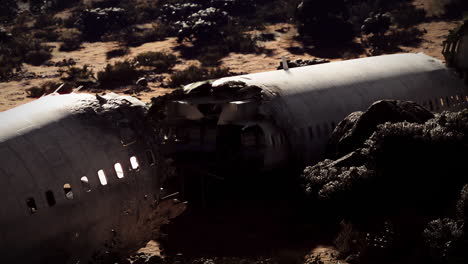 plane wreckage in remote area after devastating crash