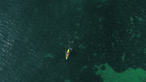 Aerial-view-of-kayak-fishing-at-seascape,-trolling-fishing-drone-view