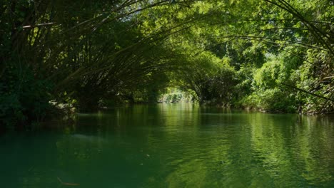 martha brae river. rafting on the martha brae. montego bay, jamaica. 
wooden raft. bamboo rafts.