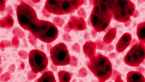 células de tejido en rojo