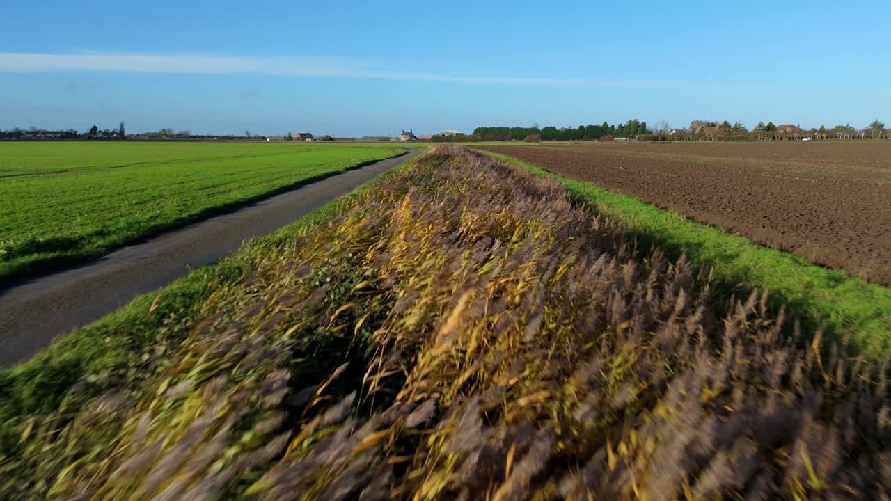 Atmospheric aerial view of reeds in a drainage area blowing in high winds at sunset in the UK countryside