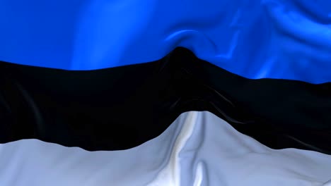 estonia flag waving in wind slow motion animation . 4k realistic fabric texture flag smooth blowing on a windy day continuous seamless loop background.