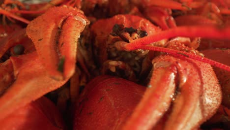 Boiled-crayfish-close-up