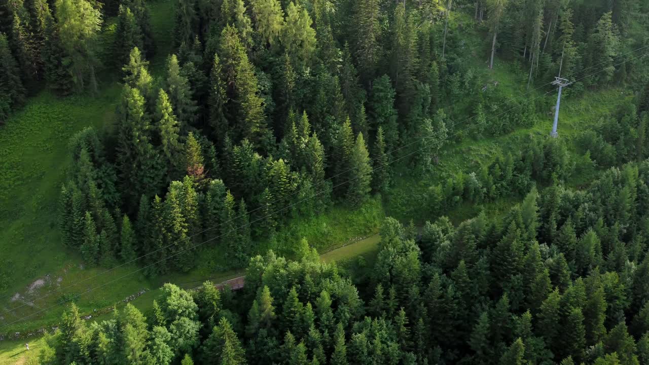 Длинная канатная дорога, ведущая в гору в Австрийских Альпах, окруженная зелеными полями и лесом.