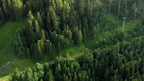 long rope way leading up a mountain in the austrian alps surrounded by green fields and a forest