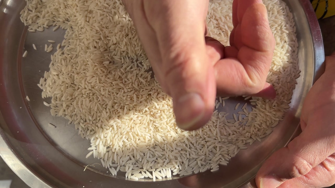 Cleaning rice the dry food ingredient in traditional Persian cuisine recipe view of prepare sorting winnowing in basket farmer woman hands harvest raw rural traditional countryside grain life local