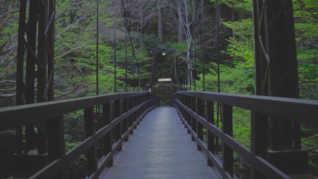 Long And Empty Wooden Bridge In Forest Park - Static Shot