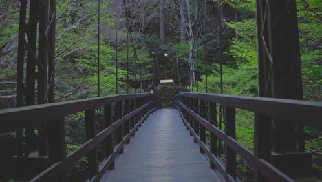 long and empty wooden bridge in forest park - static shot