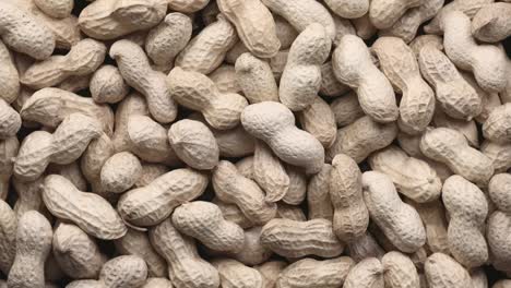 pila giratoria de cacahuetes crudos con conchas