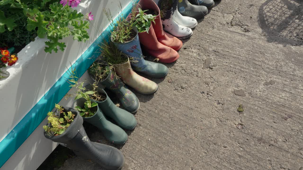 Colorful rubber boots used as planters in a creative outdoor garden display