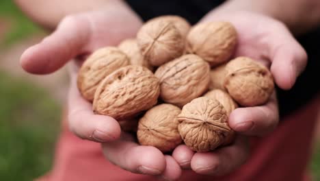 woman giving walnut to her friend.