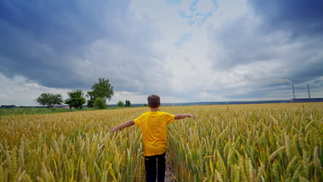 little boy on yellow meadow. child in yellow t-shirt runs and has fun in the wheat field in summer day. kid playing outdoors.