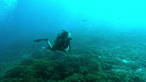 una mujer joven buceando en el océano