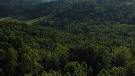 bosque verde de roble blanco en virginia occidental panorámica por avión no tripulado en estados unidos con cielo azul claro